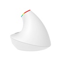 Bežični vertikalni miš Delux M618C 2.4G 1600DPI RGB (bijeli)