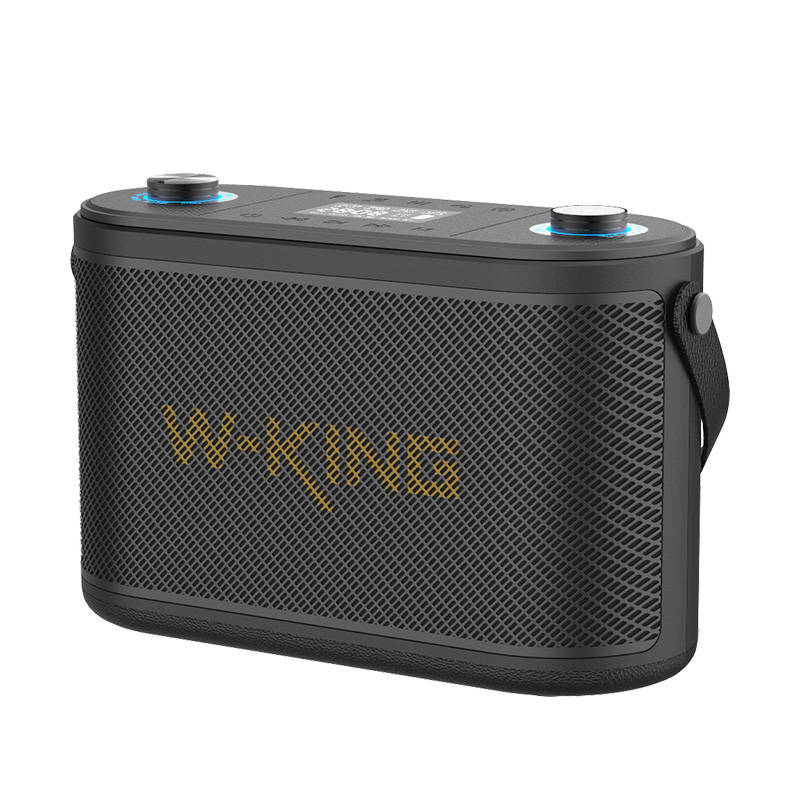 Bežični Bluetooth zvučnik W-KING H10 120W (crni)