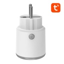 Smart Plug WiFi NEO NAS-WR10W TUYA 16A