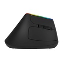 Bežični vertikalni miš Delux M618C 2.4G 1600DPI RGB (crni)