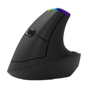 Bežični vertikalni miš Delux M618C 2.4G 1600DPI RGB (crni)