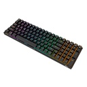 Mehanička tipkovnica Royal Kludge RK100 RGB, Brown switch (crna)