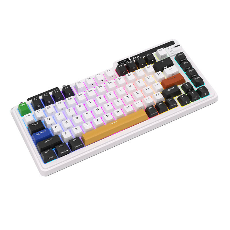 Mehanička tipkovnica Royal Kludge KZZI K75 pro RGB, Eternity Switch (crno-bijelo)