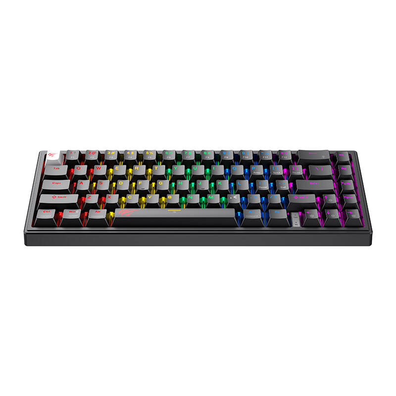 Havit KB874L gaming tipkovnica RGB (crna)