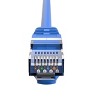 HP Ethernet CAT6 U/UTP mrežni kabel, 2m (plavi)