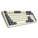 Darkflash DF98 Mocha Kailh Switches mehanička tipkovnica