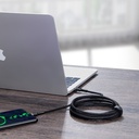Baseus Cafule PD2.0 100W bljeskalica za punjenje USB za Type-C kabel (20V 5A) 2m siva+crna