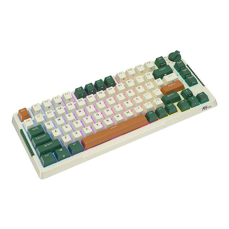 Bežična mehanička tipkovnica Royal Kludge RKH81 RGB, Sky Cyan Switch (Green)