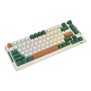 Bežična mehanička tipkovnica Royal Kludge RKH81 RGB, Sky Cyan Switch (Green)