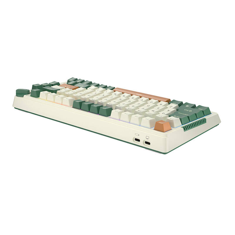 Bežična mehanička tipkovnica Royal Kludge RKH81 RGB, Sky Cyan Switch (Green)