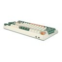 Bežična mehanička tipkovnica Royal Kludge RKH81 RGB, Sky Cyan Switch (Green)