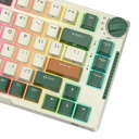 Bežična mehanička tipkovnica Royal Kludge RKH81 RGB, Sky Cyan Switch (Green)