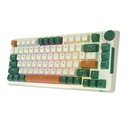 Bežična mehanička tipkovnica Royal Kludge RKH81 RGB, Sky Cyan Switch (Green)