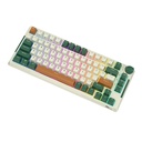 Bežična mehanička tipkovnica Royal Kludge RKH81 RGB, Sky Cyan Switch (Green)