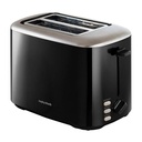 Torster Morphy Richards 222064