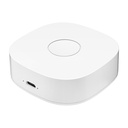 Pametni dom ws2gw-r wifi
