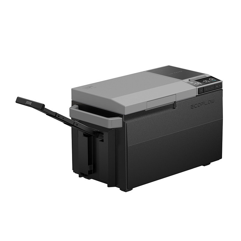 EcoFlow ledenjački prijenosni hladnjak (CH Plug-in verzija)