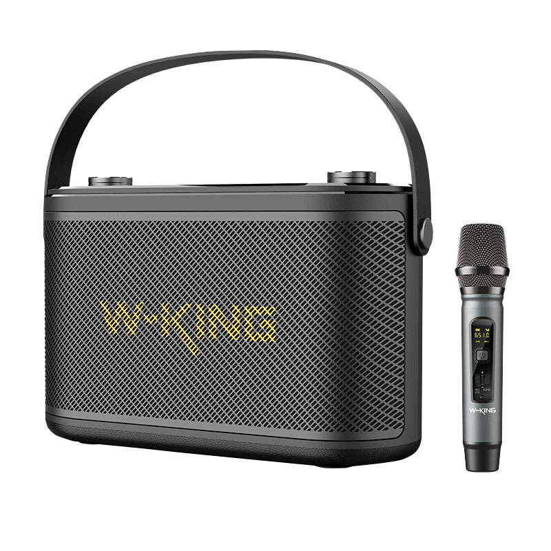 Bežični Bluetooth zvučnik W-KING H10 S 80W (crni)