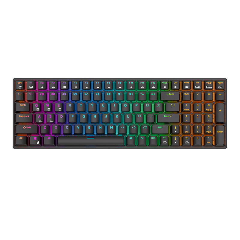 Mehanička tipkovnica Royal Kludge RK100 RGB, Brown switch (crna)