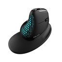 Bežični ergonomski miš Delux M618XSD BT+2.4G RGB