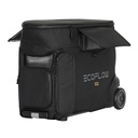 TAG ECOFLOW DELTA PRO