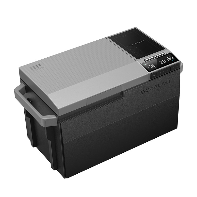 EcoFlow ledenjački prijenosni hladnjak (CH Plug-in verzija)
