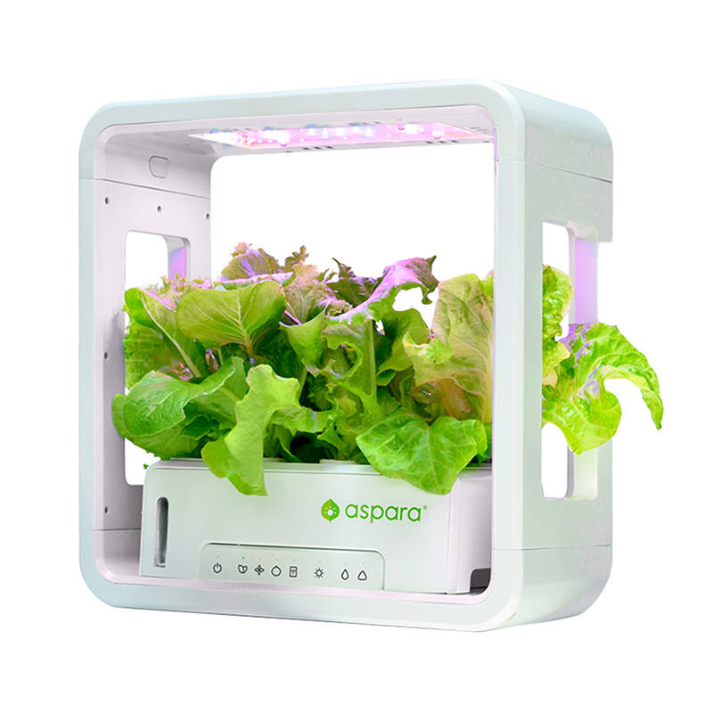 SmartPot aspara tvrtke GrowGreen Stylist Lite Smart Grower