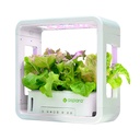 SmartPot aspara tvrtke GrowGreen Stylist Lite Smart Grower