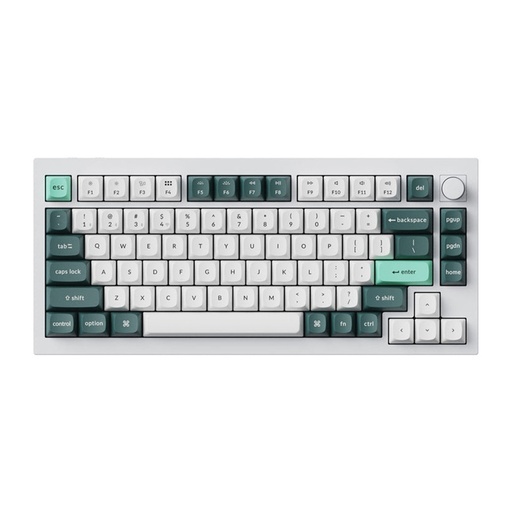 [075651] Keychron Q1 HE bežična tipkovnica RGB magnetska sklopka maglice (bijela) [Q1H-P1].