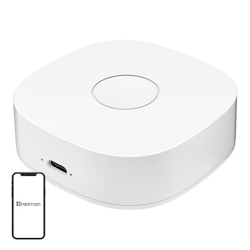[073602] Pametni dom ws2gw-r wifi